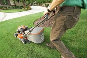 lawn maintenance