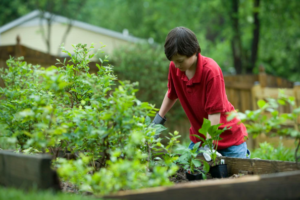 gardening
