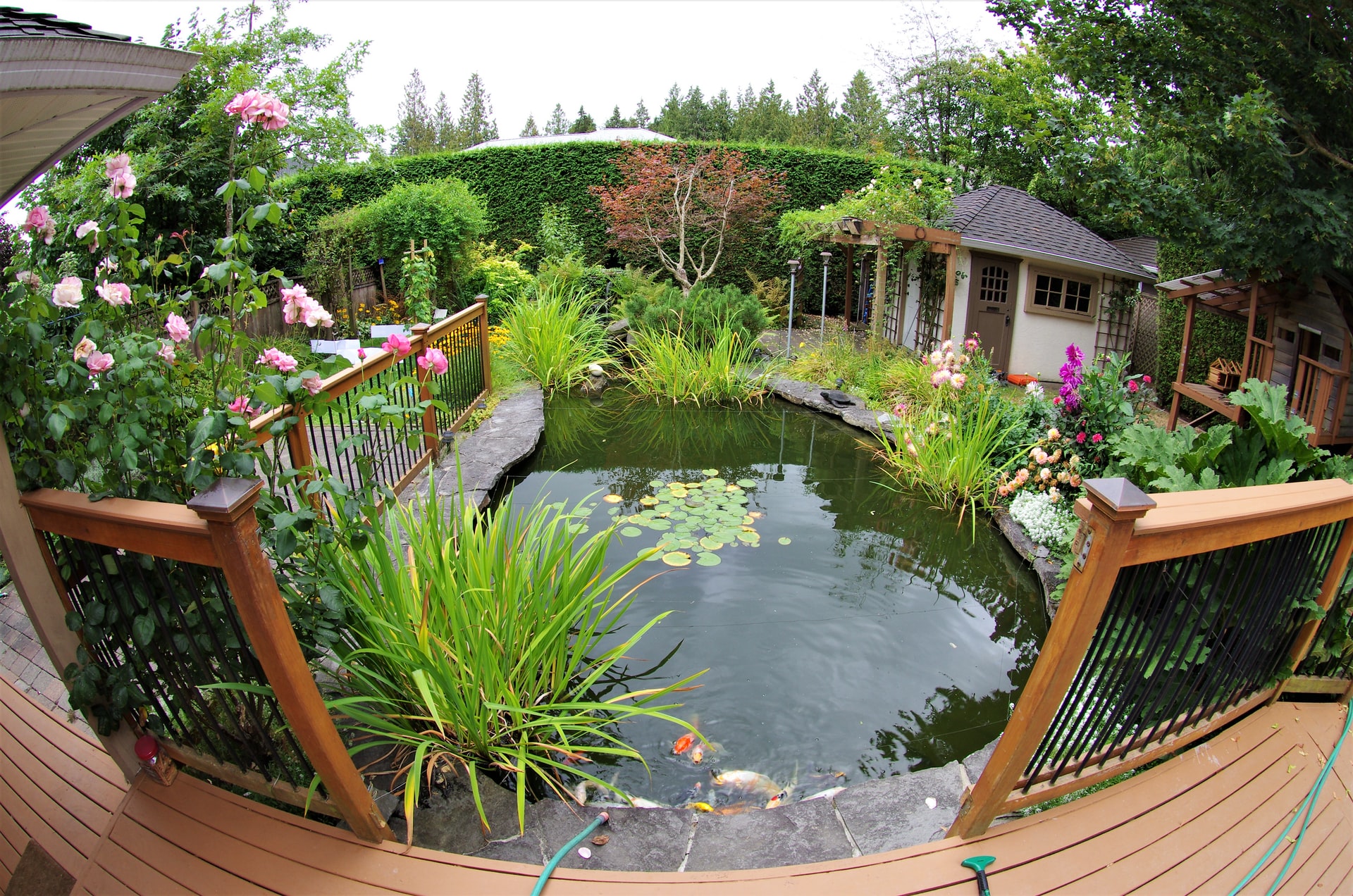 landscap