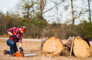 cutting trees